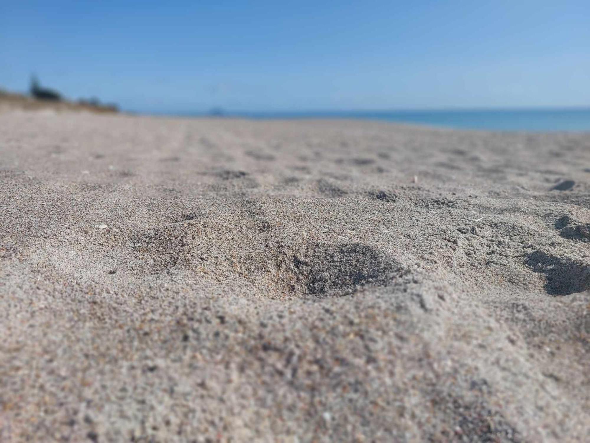 Sandbar Views Beachside Retreat - 100M From The Beach & Pets Welcome Papamoa Ngoại thất bức ảnh